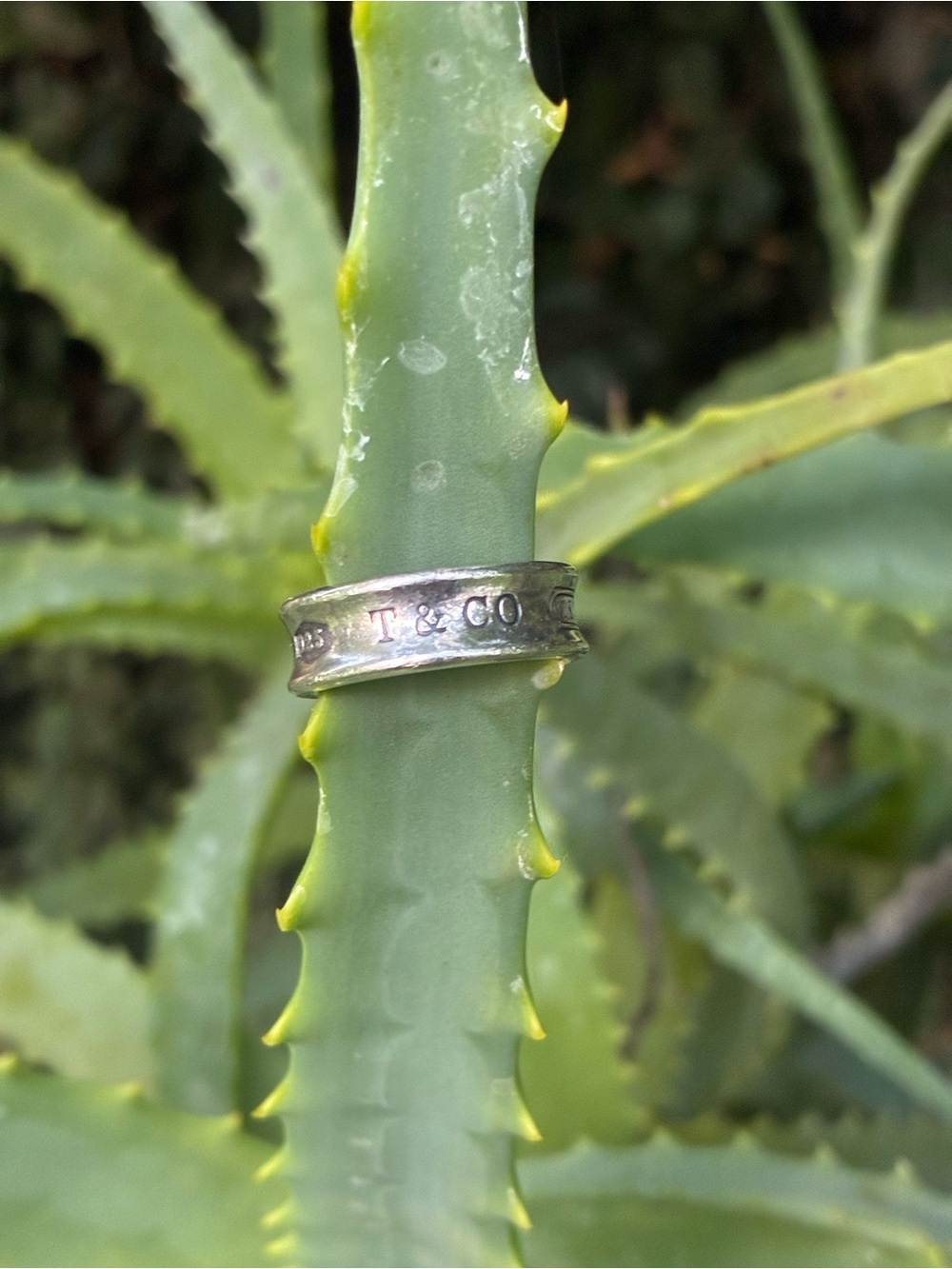Authentic Tiffany & Co. Sterling Silver 1837 Ring Band 6